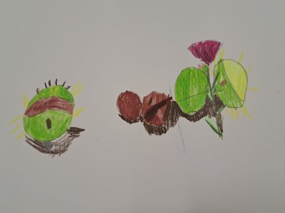 Zajęcia plastyczne 30.09.23